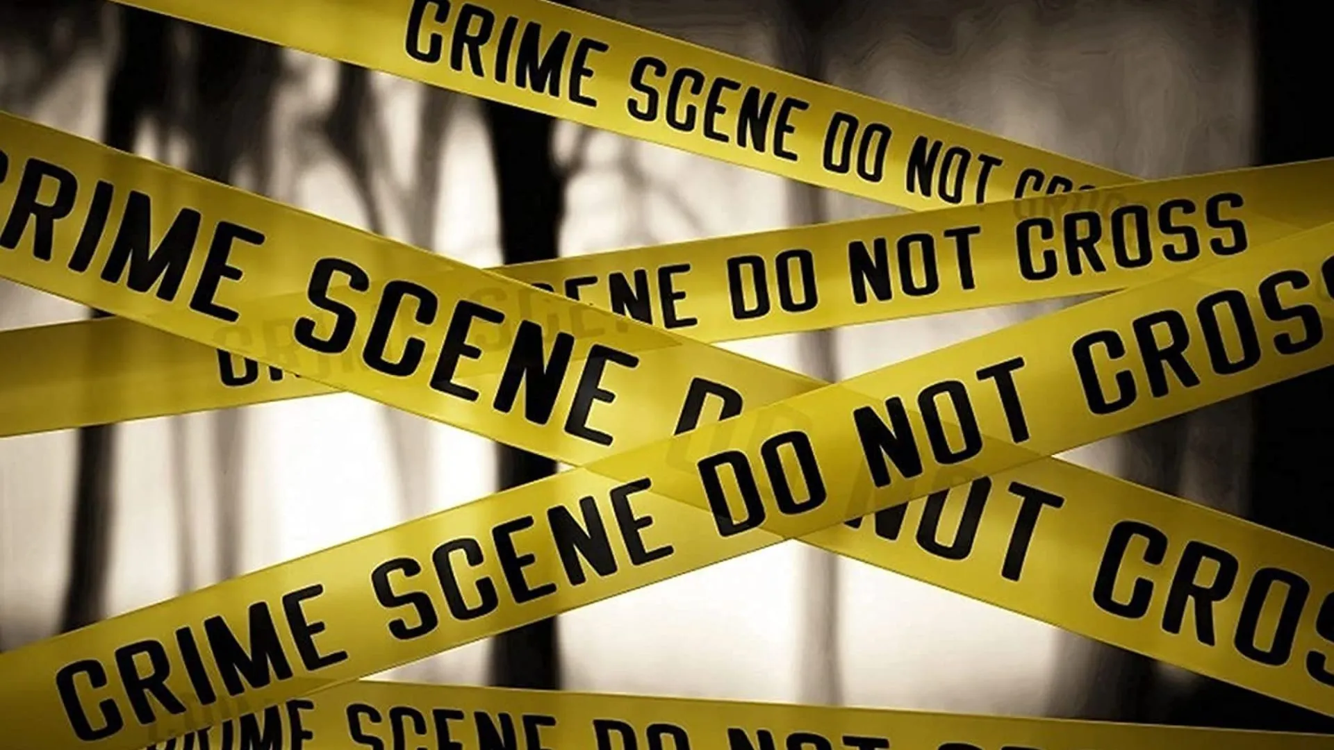 13 Injured In Tennessee And Colorado Mass Killings- Here’s What You Need To Know