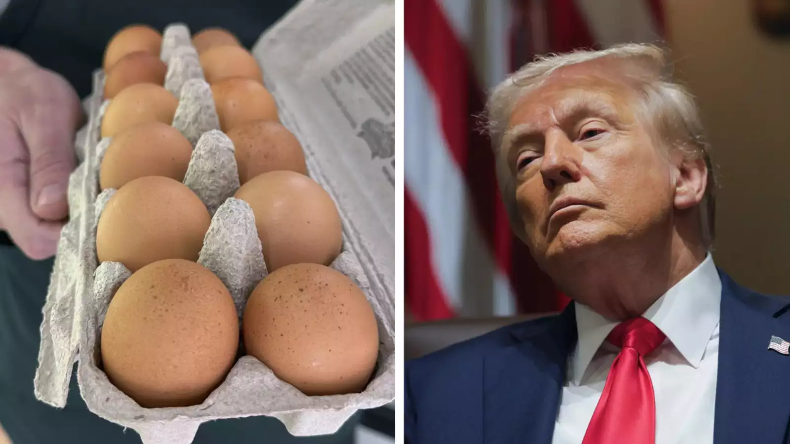 Egg Prices In The US Drop 12.7% In April: Trump’s Claims Backed By CPI Data Amid Bird Flu Recovery